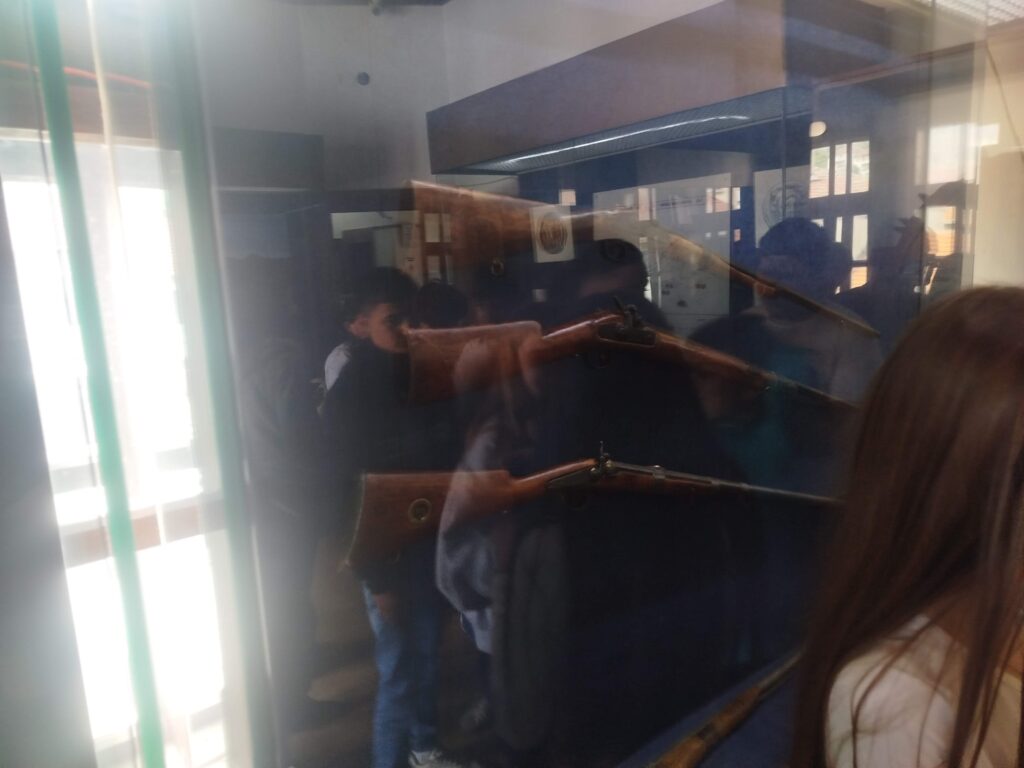 IMG 20260518 114134